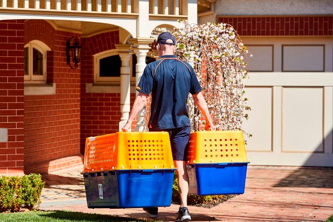 Domestic Pet Relocation